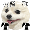 553355187