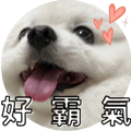 553355194
