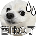 553355198