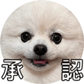 553355199