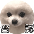 553355200