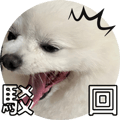 553355202