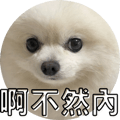 553355203
