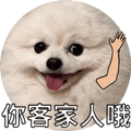 553355204