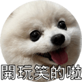 553355205