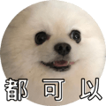 553355206