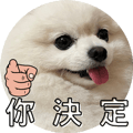 553355207