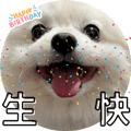 553355211