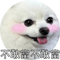 553355212