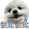553355213