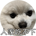 553355217