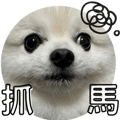 553355220