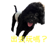553359941