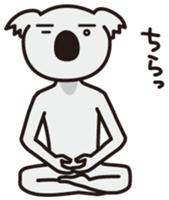 5533648