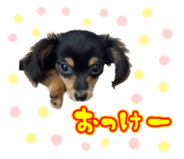 553369113