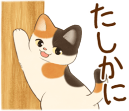 553373338