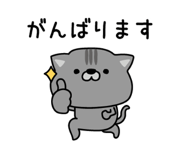 553373650