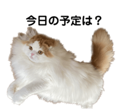 553374751
