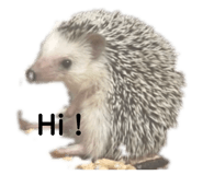 553376270