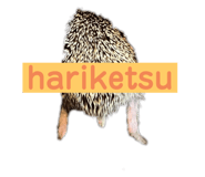 553376273