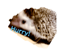 553376276