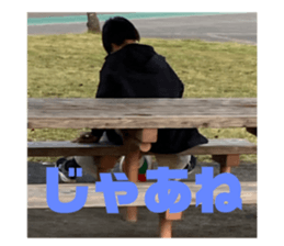 553393807