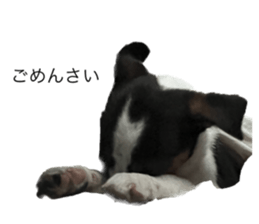 553394966