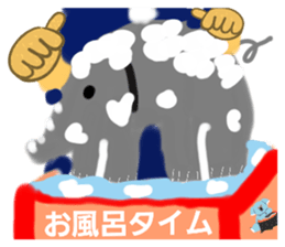 553440262