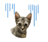 553444068