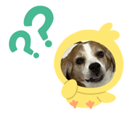 553444077