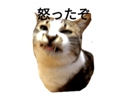 553455717