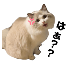 553480911