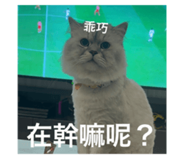 553482858