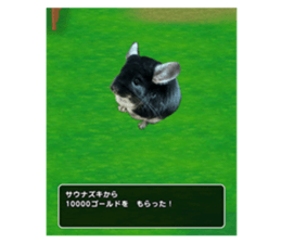553516748