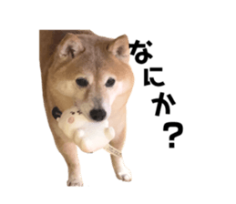 553516990