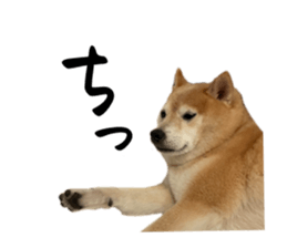 553516993
