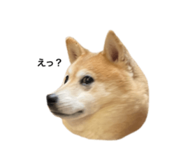 553517006