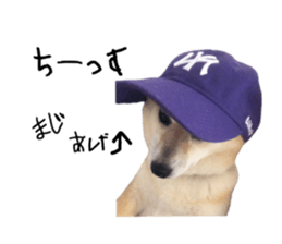 553517008