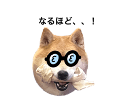 553517016