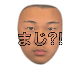 553517440