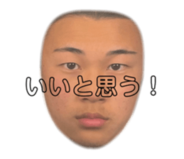 553517442