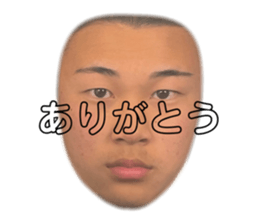 553517443