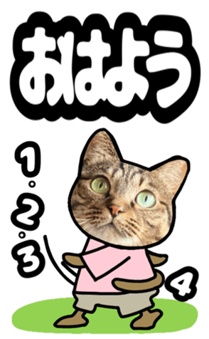 553539318