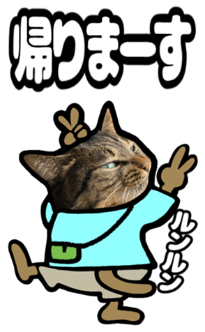 553539325