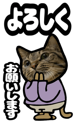 553539327