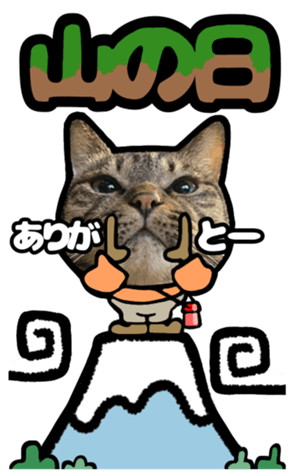 553539337