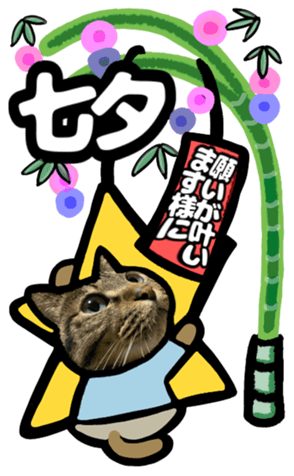 553539343
