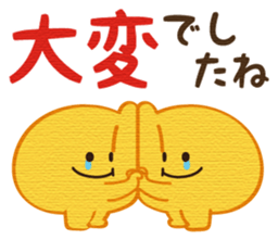 553569894