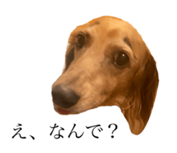 553585870
