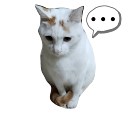 553588859
